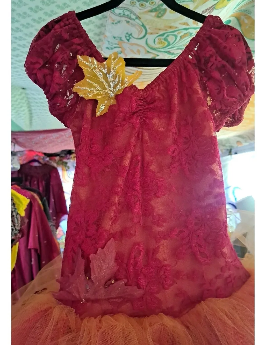 Autumn Ember Fairy Tutu Dress – I.M. International Child Medium